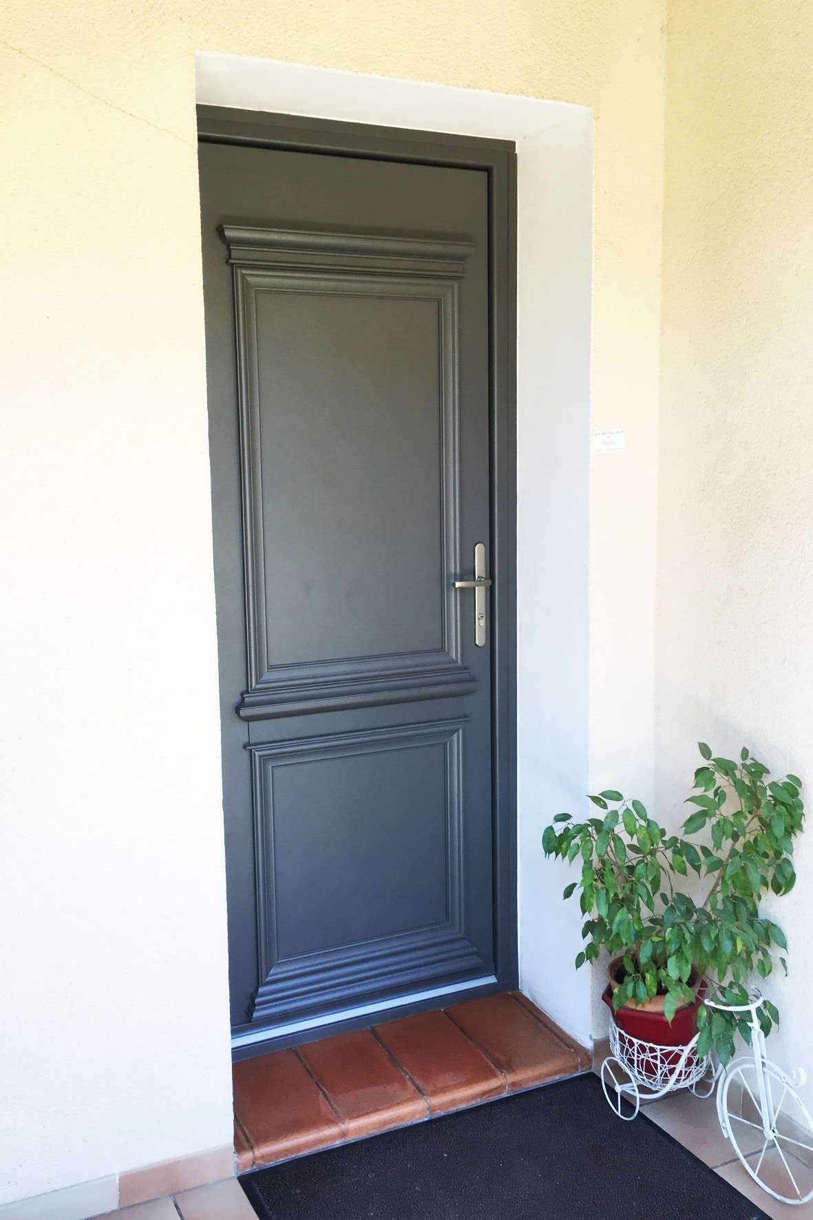 porte dentree3
